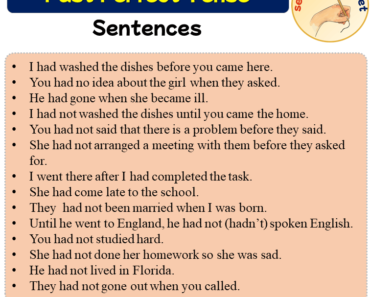 Past Perfect Tense Examples, 100 Past Perfect Tense Sentences