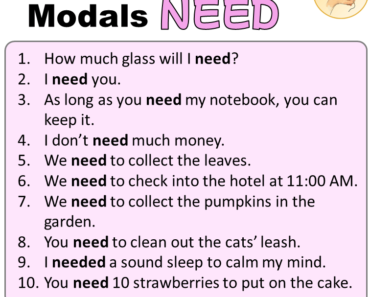 10 Sentences of Modals Need, Examples of Need Sentences