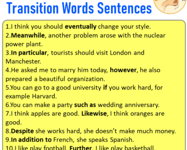 10 Transition Words Sentences Examples, English Examples of Transition Words Sentences