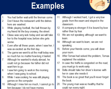 20 Complex Sentences Examples, English Examples of Complex Sentences