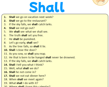 20 Examples Sentences of Shall, Modal Shall Sentences