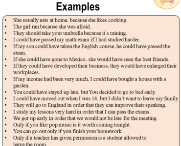 50 Transition Words Sentences Examples, English Examples of Transition Words Sentences