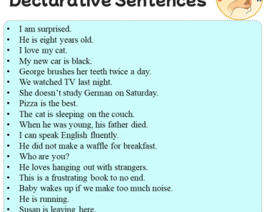 Declarative Sentences Examples, 100 Declarative Example Sentences