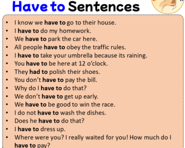 Modal Verbs Have to Sentences, 30 Examples of Have to Sentences