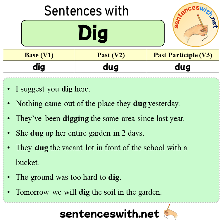 Sentences with Dig, Past and Past Participle Form Of Dig V1 V2 V3