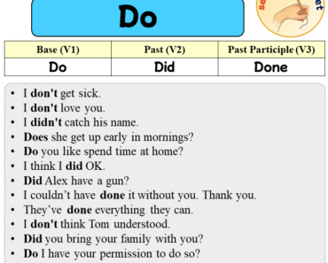 Sentences with Do, Past and Past Participle Form Of Do V1 V2 V3