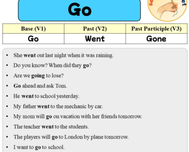 Sentences with Go, Past and Past Participle Form Of Go V1 V2 V3