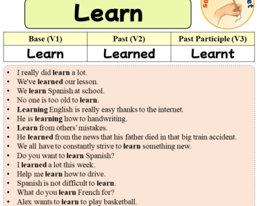 Sentences with Learn, Past and Past Participle Form Of Learn V1 V2 V3