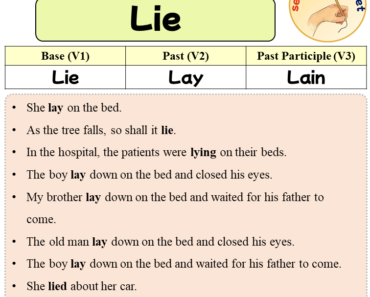 Sentences with Lie, Past and Past Participle Form Of Lie V1 V2 V3
