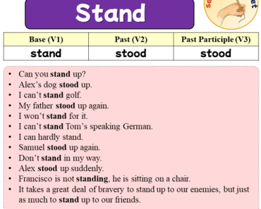 Sentences with Stand, Past and Past Participle Form Of Stand V1 V2 V3