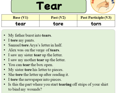 Sentences with Tear, Past and Past Participle Form Of Tear V1 V2 V3