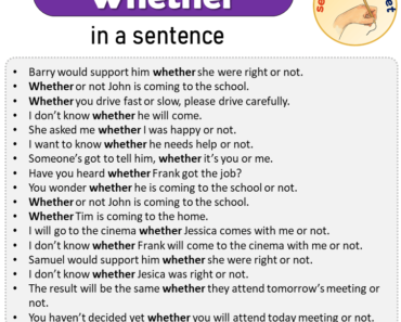 Whether in a Sentence, Sentences of Whether in English
