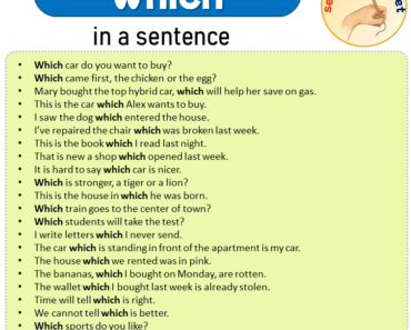 Which in a Sentence, Sentences of Which in English