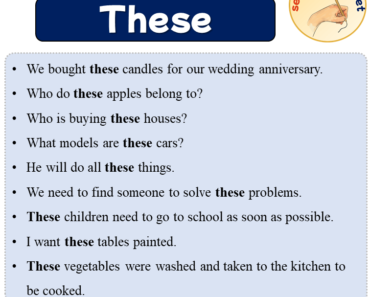 Sentences with These, 9 Sentences about These in English