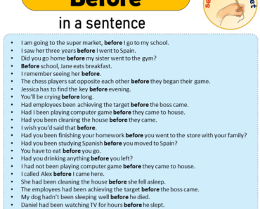 Before in a Sentence, Sentences of Before in English