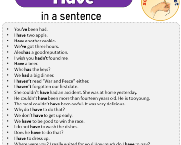 Have is in a Sentence, Sentences of Have is in English