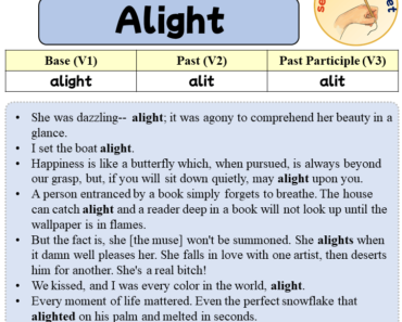 Sentences with Alight, Past and Past Participle Form Of Alight V1 V2 V3