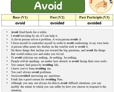 Sentences with Avoid, Past and Past Participle Form Of Avoid V1 V2 V3