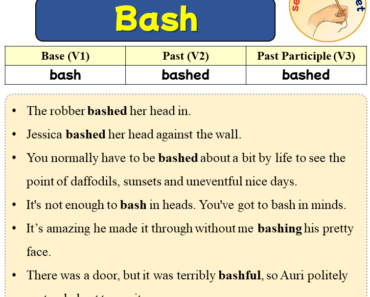 Sentences with Bash, Past and Past Participle Form Of Bash V1 V2 V3