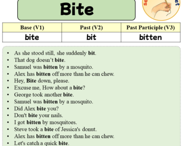 Sentences with Bite, Past and Past Participle Form Of Bite V1 V2 V3