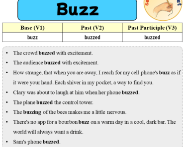 Sentences with Buzz, Past and Past Participle Form Of Buzz V1 V2 V3