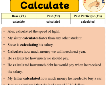 Sentences with Calculate, Past and Past Participle Form Of Calculate V1 V2 V3