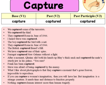 Sentences with Capture, Past and Past Participle Form Of Capture V1 V2 V3