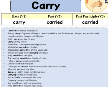 Sentences with Carry, Past and Past Participle Form Of Carry V1 V2 V3