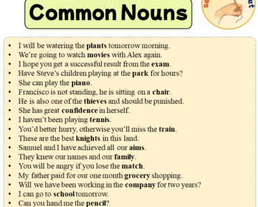 Sentences with Common Nouns, 18 Sentences about Common Nouns in English