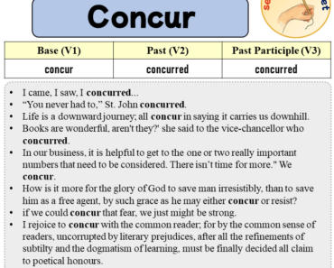 Sentences with Concur, Past and Past Participle Form Of Concur V1 V2 V3