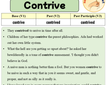 Sentences with Contrive, Past and Past Participle Form Of Contrive V1 V2 V3