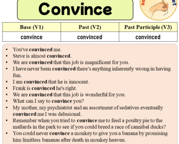 Sentences with Convince, Past and Past Participle Form Of Convince V1 V2 V3