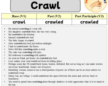Sentences with Crawl, Past and Past Participle Form Of Crawl V1 V2 V3