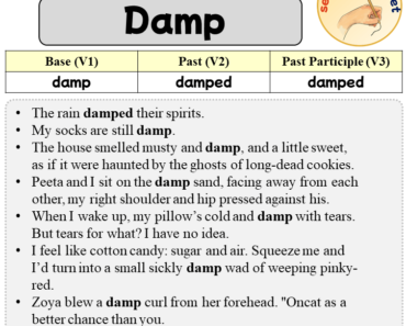 Sentences with Damp, Past and Past Participle Form Of Damp V1 V2 V3