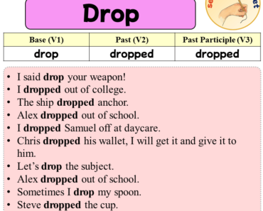 Sentences with Drop, Past and Past Participle Form Of Drop V1 V2 V3