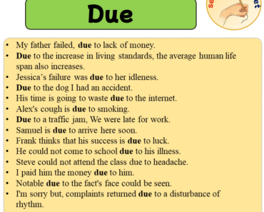Sentences with Due, 14 Sentences about Due in English
