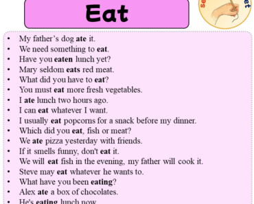 Sentences with Eat, 17 Sentences about Eat in English