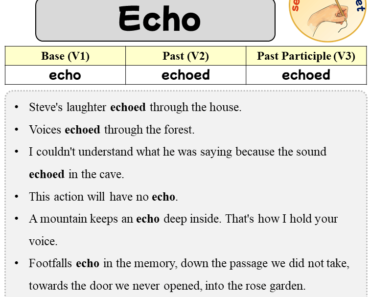 Sentences with Echo, Past and Past Participle Form Of Echo V1 V2 V3