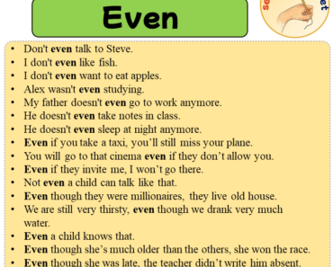 Sentences with Even, 16 Sentences about Even in English