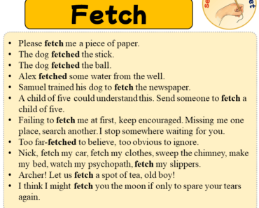 Sentences with Fetch, 11 Sentences about Fetch in English