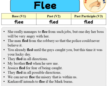 Sentences with Flee, Past and Past Participle Form Of Flee V1 V2 V3