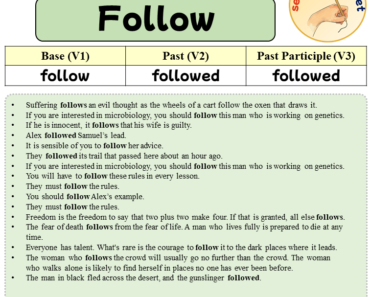 Sentences with Follow, Past and Past Participle Form Of Follow V1 V2 V3