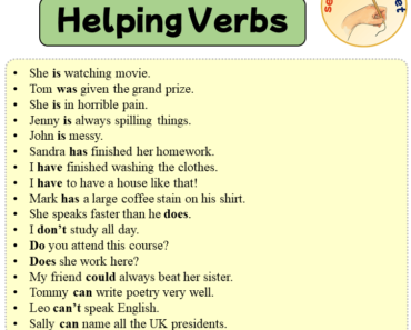 Sentences with Helping Verbs, 17 Sentences about Helping Verbs in English