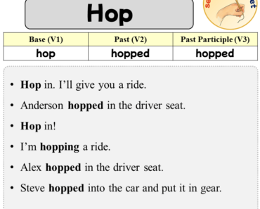 Sentences with Hop, Past and Past Participle Form Of Hop V1 V2 V3