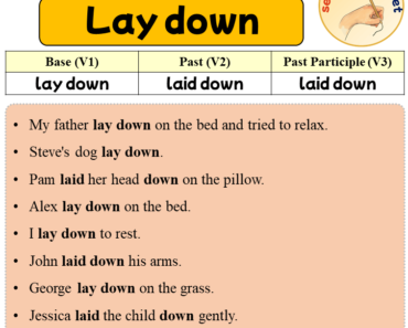 Sentences with Lay down, Past and Past Participle Form Of Lay down V1 V2 V3