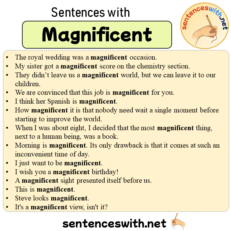 Sentences with Magnificent, 14 Sentences about Magnificent in English