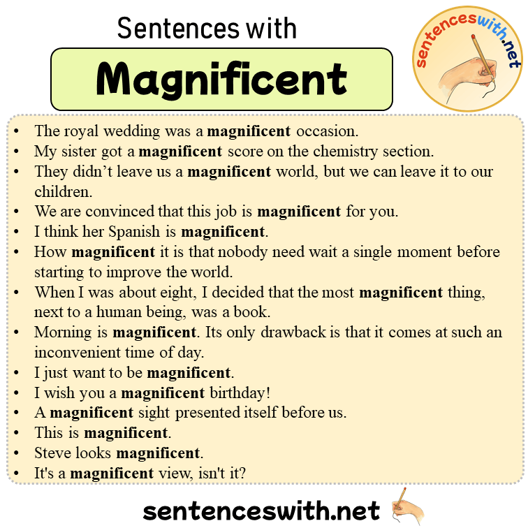 Make A Sentence With Word Magnificent