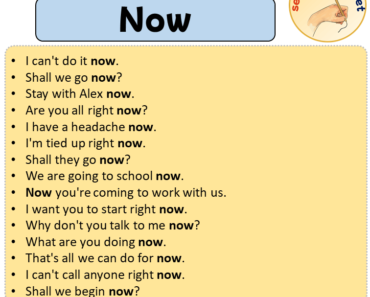 Sentences with Now, 15 Sentences about Now in English