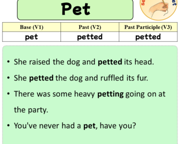 Sentences with Pet, Past and Past Participle Form Of Pet V1 V2 V3