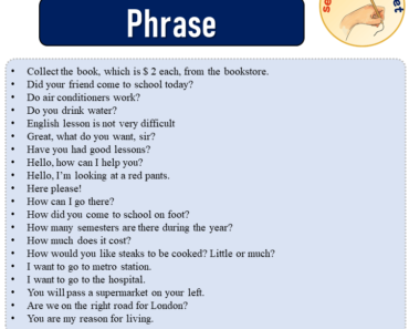 Sentences with Phrase, 20 Sentences about Phrase in English